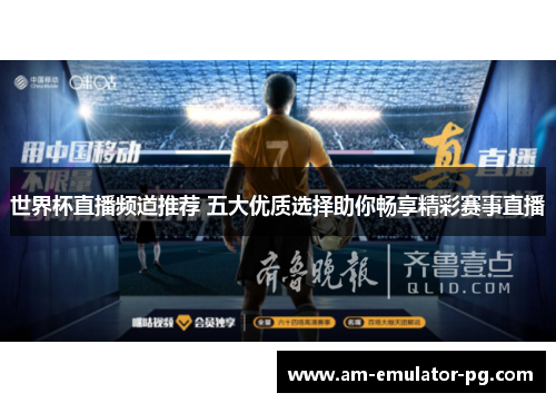 世界杯直播频道推荐 五大优质选择助你畅享精彩赛事直播