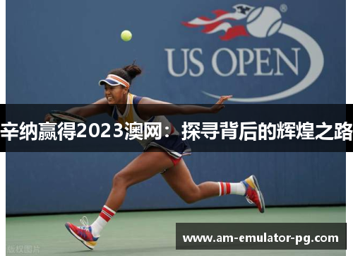 辛纳赢得2023澳网:探寻背后的辉煌之路