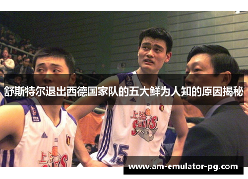 舒斯特尔退出西德国家队的五大鲜为人知的原因揭秘 舒斯特尔退出西德国家队的五大鲜为人知的原因揭秘
