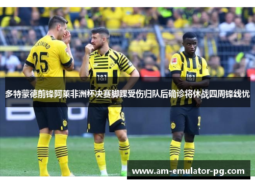 多特蒙德前锋阿莱非洲杯决赛脚踝受伤归队后确诊将休战四周锋线忧